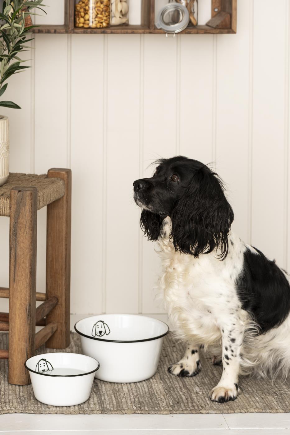 Small Enamel Dog Bowl