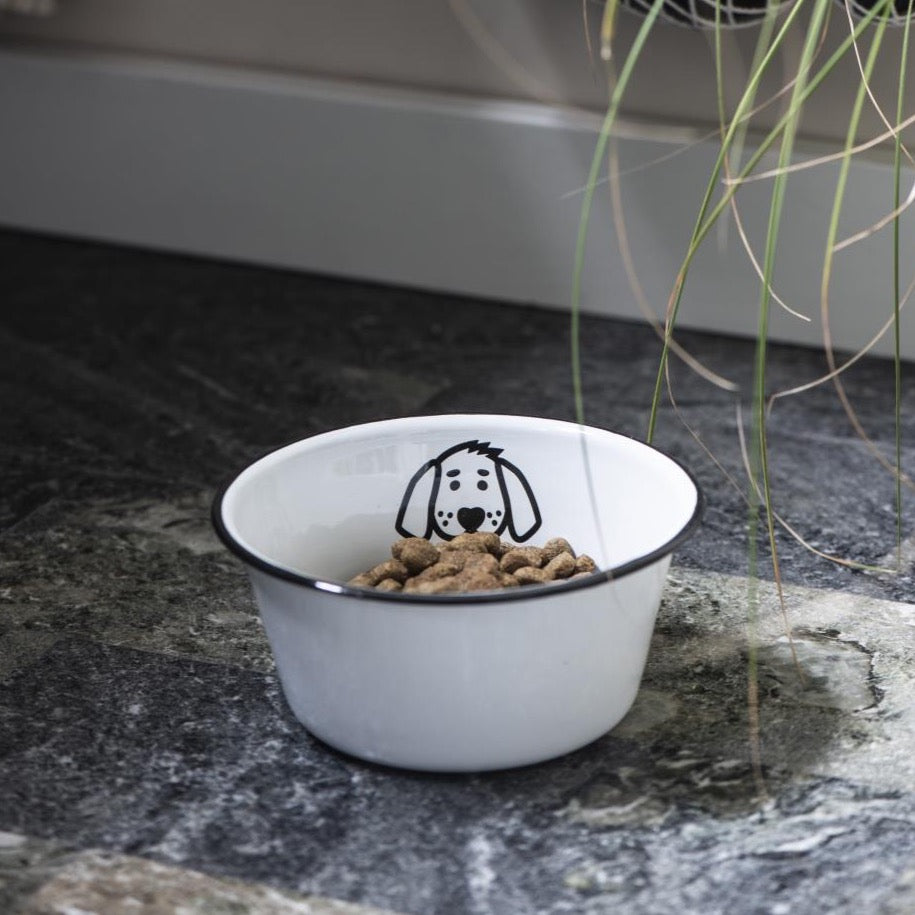 Large Enamel Dog Bowl